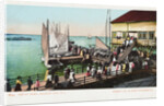 Pier at Inlet, Atlantic City, N.J. Postcard by Anonymous