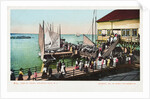 Pier at Inlet, Atlantic City, N.J. Postcard by Anonymous