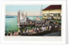 Pier at Inlet, Atlantic City, N.J. Postcard by Anonymous