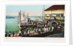 Pier at Inlet, Atlantic City, N.J. Postcard by Anonymous