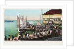 Pier at Inlet, Atlantic City, N.J. Postcard by Anonymous