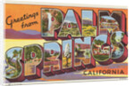 Greetings from Palm Springs Postcard by Anonymous