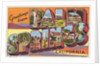 Greetings from Palm Springs Postcard by Anonymous