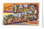 Greetings from Palm Springs Postcard by Anonymous