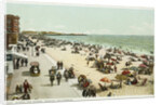 Along the Shore, Venice, California Postcard by Anonymous