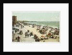 Along the Shore, Venice, California Postcard by Anonymous