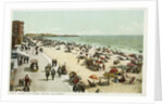 Along the Shore, Venice, California Postcard by Anonymous