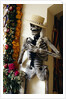 Day of the Dead Skeleton and Flowers by Anonymous