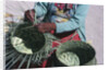 Tarahumaran Woman Weaving a Basket by Anonymous