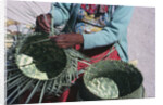 Tarahumaran Woman Weaving a Basket by Anonymous