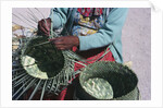 Tarahumaran Woman Weaving a Basket by Anonymous