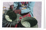 Tarahumaran Woman Weaving a Basket by Anonymous