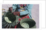 Tarahumaran Woman Weaving a Basket by Anonymous