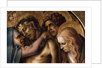 Detail of Pieta by Carlo Crivelli