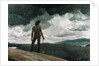 The Woodcutter by Winslow Homer