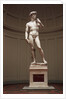David by Michelangelo