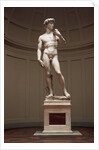 David by Michelangelo