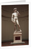 David by Michelangelo
