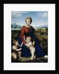 Madonna of the Meadow by Raphael