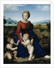 Madonna of the Meadow by Raphael