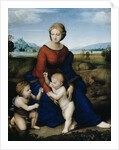 Madonna of the Meadow by Raphael