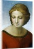 Detail of Madonna of the Meadow by Raphael