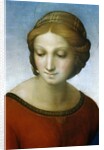 Detail of Madonna of the Meadow by Raphael