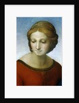 Detail of Madonna of the Meadow by Raphael