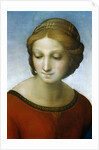 Detail of Madonna of the Meadow by Raphael