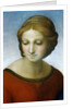 Detail of Madonna of the Meadow by Raphael
