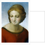 Detail of Madonna of the Meadow by Raphael