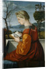 The Virgin Reading by Vittore Carpaccio