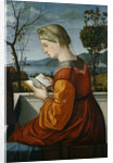 The Virgin Reading by Vittore Carpaccio