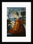 The Virgin Reading by Vittore Carpaccio