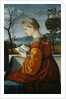 The Virgin Reading by Vittore Carpaccio