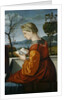 The Virgin Reading by Vittore Carpaccio