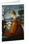 The Virgin Reading by Vittore Carpaccio