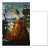 The Virgin Reading by Vittore Carpaccio