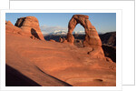 Delicate Arch in Low-Lying Sunlight by Anonymous