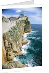 Walled Town of Dubrovnik on Dalmatian Coast by Anonymous
