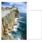 Walled Town of Dubrovnik on Dalmatian Coast by Anonymous