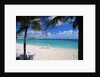 Lounge Chairs on Beach at Club Med by Anonymous