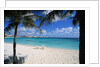 Lounge Chairs on Beach at Club Med by Anonymous