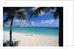 Lounge Chairs on Beach at Club Med by Anonymous