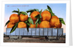 A Carload of Navel Oranges Postcard by Anonymous