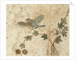 Detail of Roman Fresco Series at Oplonti Villa by Anonymous