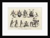 Engraving of the Ten Avatars of Vishnu by Anonymous