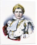 Portrait of Napoleon I by Anonymous
