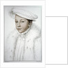 Francis II, Dauphin of France by Anonymous