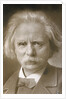 Composer Edvard Grieg by Anonymous